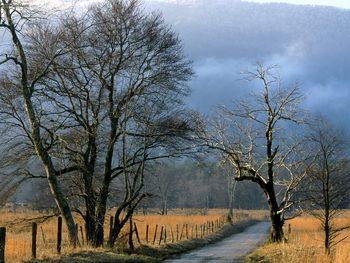 Sparks Lane Cades Cove Great Smoky Mountains National Park Tennessee screenshot