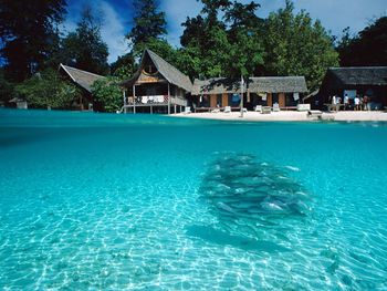 Split View Of Sipadan Island, Borneo screenshot