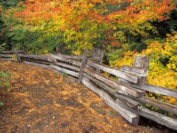 Splitrail Mount Rainier National Park Washington screenshot