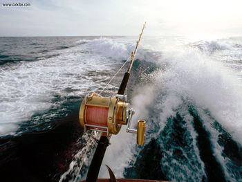 Sportfishing Boat Cabo San Lucas Mexico screenshot