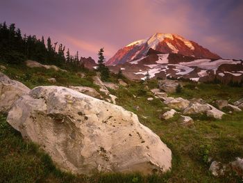 Spray Park Meadows At Sunset, Mount Rainier, Washington screenshot