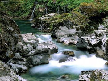 Spring Creek Siskiyou National Forest Oregon screenshot