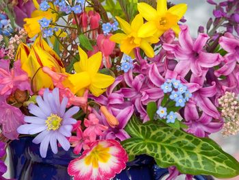 Spring Flowers From the Garden screenshot