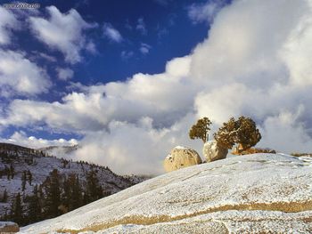 Spring Snow Yosemite California screenshot