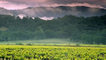 Spring Storm Clouds, Mcdowell Valley, Mendocino County, California screenshot