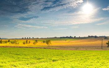 Spring Sunny Landscape screenshot