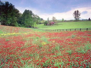 Springtime In Virginia screenshot