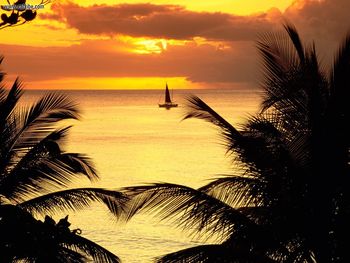 St Lucia Sunset screenshot