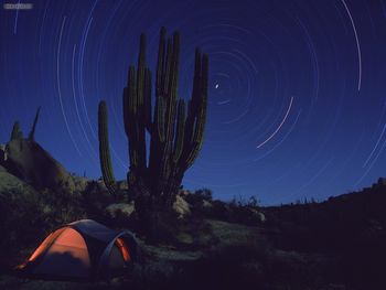Star Trails Over Cordon Cactus Camp Baja Mexico screenshot