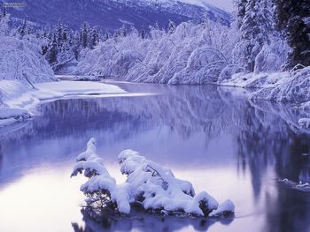 Still Water Eagle River Alaska screenshot