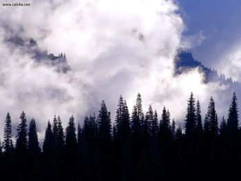 Storm Clouds Swirl Washington screenshot