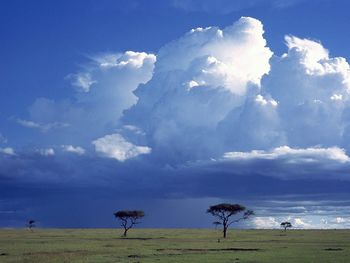 Storm Over The Savannah, Masai Mara National Reserve, Kenya screenshot