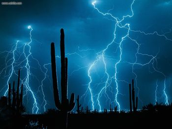 Stormy Weather Saguaro Cactus screenshot