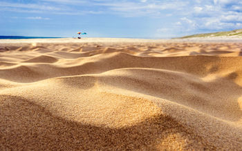 Summer Sand Dunes screenshot