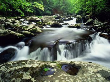 Summer Scene, Middle Prong Of The Little River, Great Smoky Mountains National Park, Tennessee screenshot