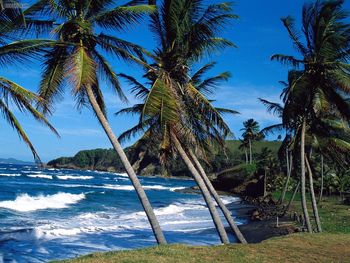 Summer Waves St Lucia screenshot
