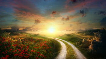 Sun Poppy Path Landscape screenshot
