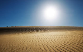 Sunny Desert screenshot