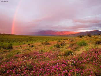 Sunrise Anzo Borrego State Park California screenshot