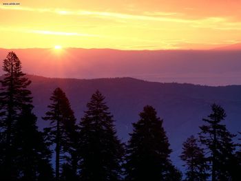 Sunrise At Plaskett Ridge California screenshot