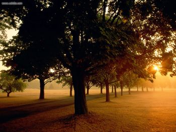 Sunrise In The Park screenshot