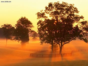 Sunrise On Horse Farm Versailles Kentucky screenshot