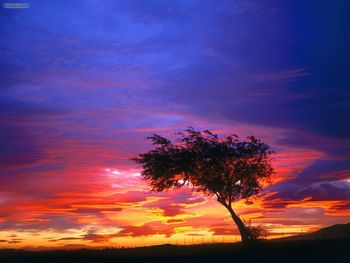 Sunrise Palmdale California screenshot