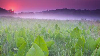 Sunrise, Weir Nature Center, Wisconsin screenshot