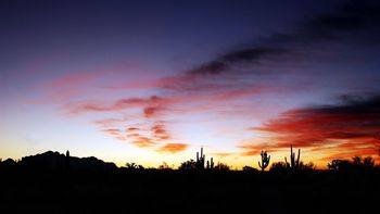 Sunset Above A Cactus Field screenshot