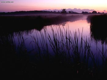 Sunset At Loxahatchee National Wildlife Refuge Florida screenshot