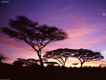 Sunset Colors Tanzania Africa screenshot