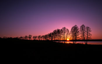 Sunset Silhouette screenshot