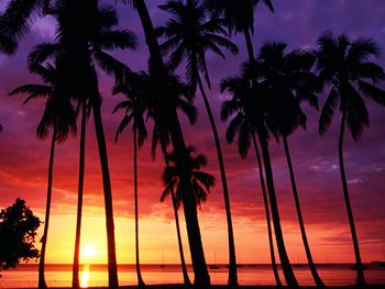 Sunset Spectacular, Puerto Rico screenshot