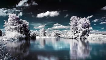 Superb Winter Lake View screenshot