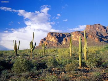 Superstition Mountains Tonto National Forest Arizona screenshot