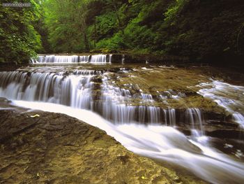 Sweet Creek Siuslaw National Forest Oregon screenshot