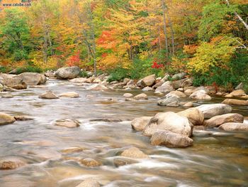 Swift River And Autumn Colors White Mountains National Forest New Hampshire screenshot