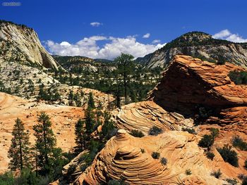 Swirling Sandstone Formations Zion National Park Utah screenshot