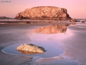 Table Rock And Low Tide Reflections Oregon Islands Oregon screenshot