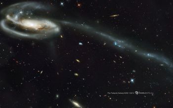 Tadpole Galaxy screenshot