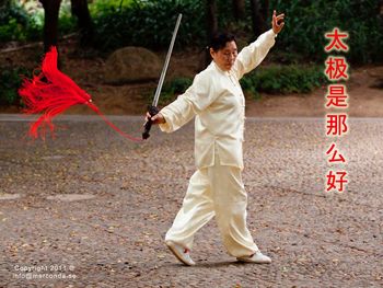 Tai Chi screenshot