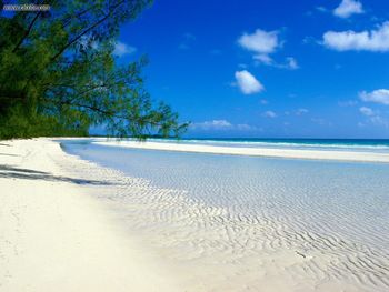 Taino Beach Bahamas screenshot