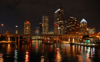 Tampa Bay Nights screenshot