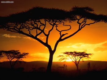 Tanzanian Sunset screenshot