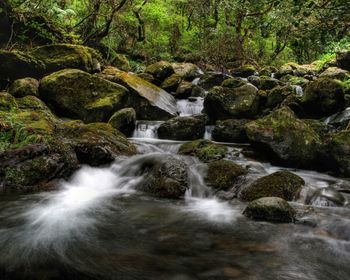 Tasmania River screenshot