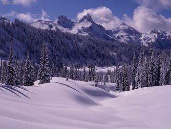 Tatoosh Range Mount Rainier Washington screenshot