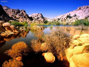 Technicolor Terrain Joshua Tree National Park, California screenshot