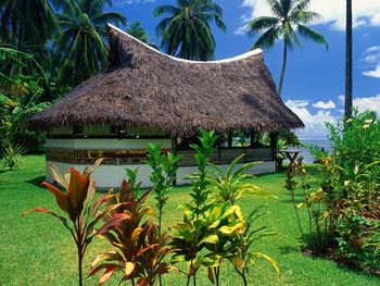 Thatched Bungalow, Moorea Island screenshot