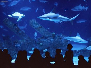 The Albuquerque Aquarium New Mexico screenshot