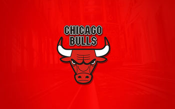The Chicago Bulls screenshot